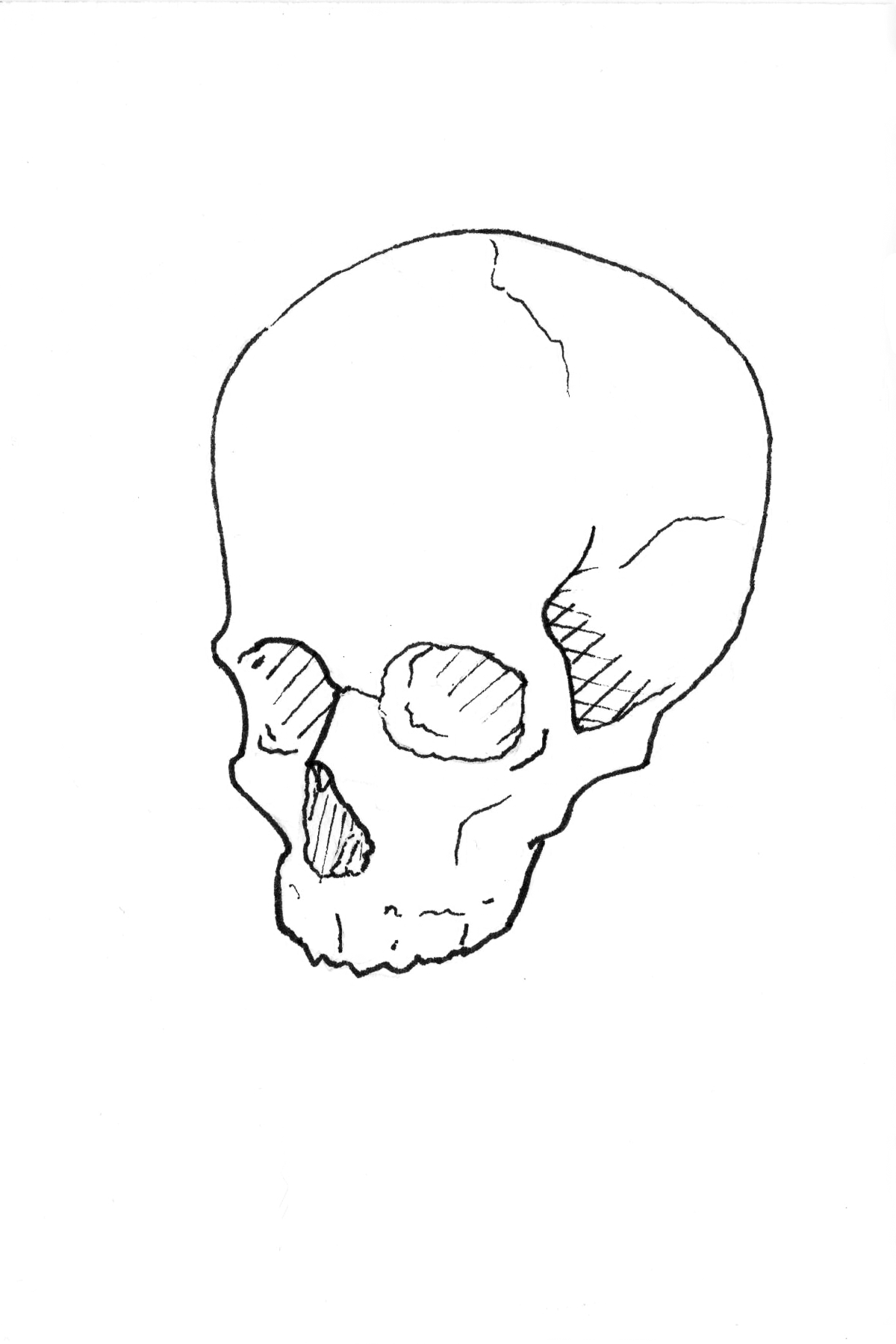 #1 Skull